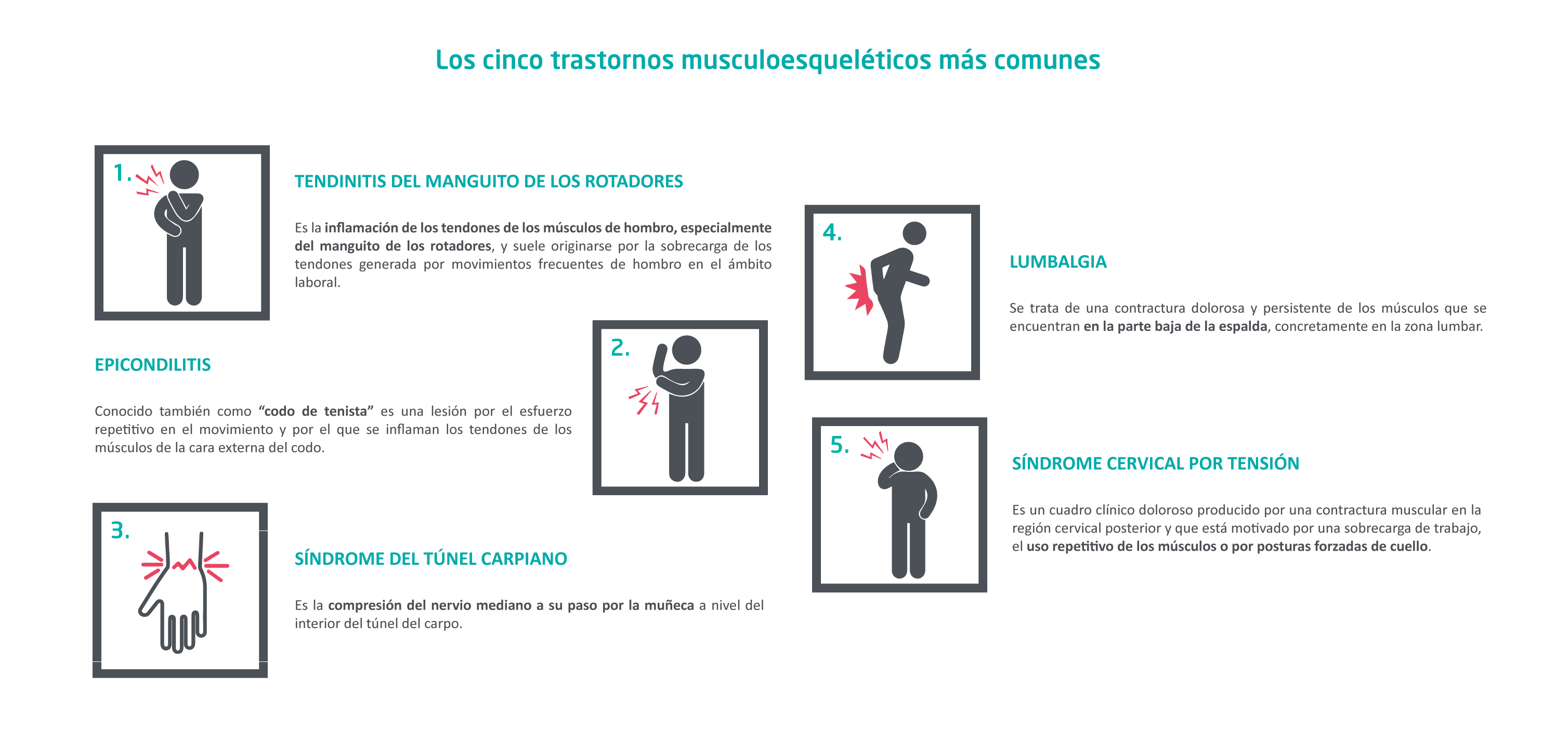 Trastornos musculo-esqueléticos más comunes